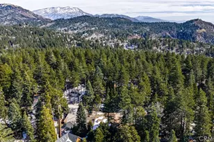 31686 Luring Pines Cir, Running Springs, CA 92382 - Photo 43