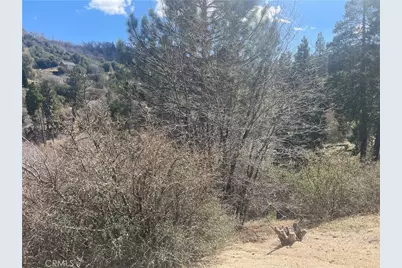 0 Pine Drive, Cedar Glen, CA 92321 - Photo 3