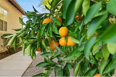 7774 Kingdom, Riverside, CA 92506 - Photo 51