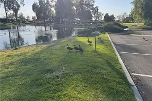 7707 Newcastle Ct, Highland, CA 92346 - Photo 45