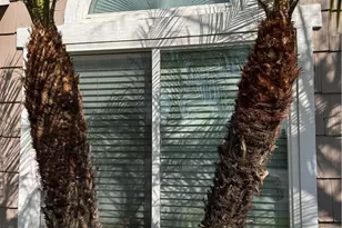 7707 Newcastle Ct, Highland, CA 92346 - Photo 5