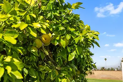 2429 Chauncy Place, Riverside, CA 92506 - Photo 37