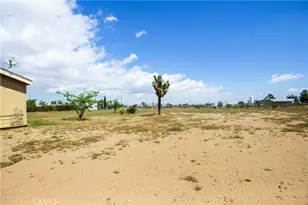 11527 Daisy, Phelan, CA 92371 - Photo 27