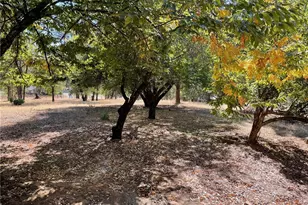 9275 Sheep Ranch Rd, Mountain Ranch, CA 95246 - Photo 15