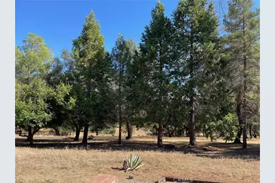 9275 Sheep Ranch Road, Mountain Ranch, CA 95246 - Photo 13