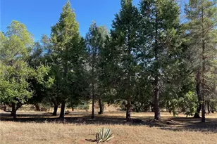 9275 Sheep Ranch Rd, Mountain Ranch, CA 95246 - Photo 13