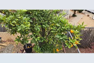 30949 Palmetto Palm Avenue, Homeland, CA 92548 - Photo 17