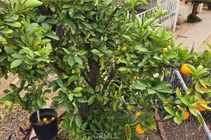 30949 Palmetto Palm Ave, Homeland, CA 92548 - Photo 17