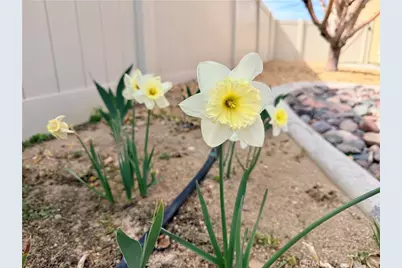 10906 Rockaway Glen, Apple Valley, CA 92308 - Photo 33