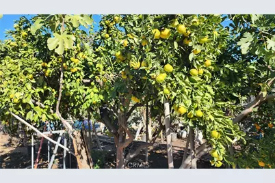 23729 Citrus Avenue, Perris, CA 92570 - Photo 53