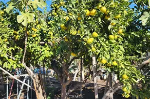 23729 Citrus Ave, Perris, CA 92570 - Photo 53