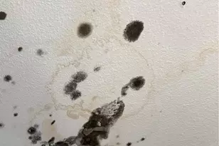 66155 1st, Desert Hot Springs, CA 92240 - Photo 49