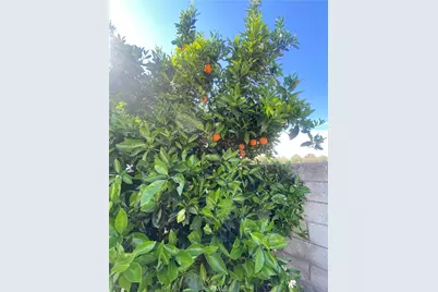 39674 Baldi Court, Cherry Valley, CA 92223 - Photo 49