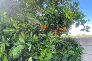 39674 Baldi Ct, Cherry Valley, CA 92223 - Photo 49