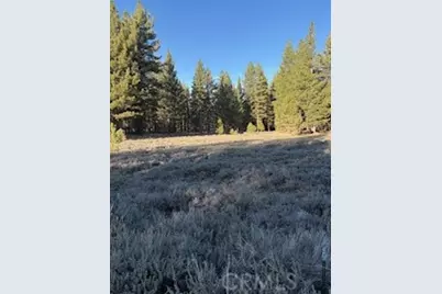 34557 Polique Canyon, Fawnskin, CA 92333 - Photo 11