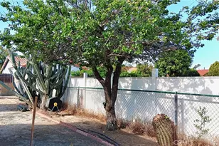 25965 New Chicago, Hemet, CA 92544 - Photo 31