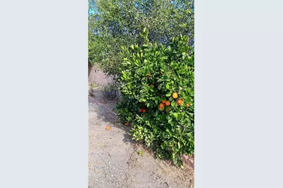 25965 New Chicago, Hemet, CA 92544 - Photo 27
