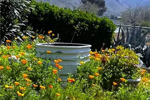 8316 Dawn Pl, Lake Isabella, CA 93240 - Photo 11