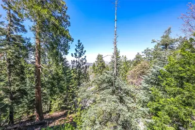 295 Fairway Drive, Lake Arrowhead, CA 92352 - Photo 45