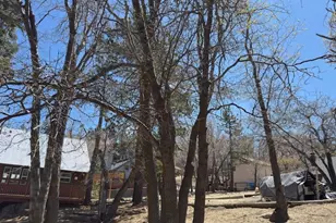 32983 Canyon, Green Valley Lake, CA 92341 - Photo 23