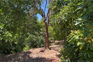 8715 Dufferin, Riverside, CA 92504 - Photo 33