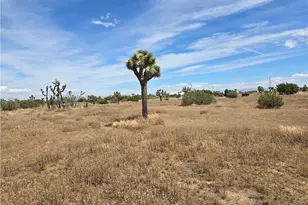 0 Aster, Oak Hills, CA 92344 - Photo 1