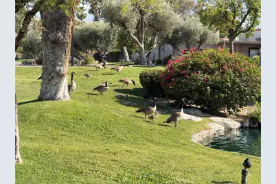 1149 Via Tenis, Palm Springs, CA 92262 - Photo 23