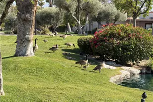 1149 Via Tenis, Palm Springs, CA 92262 - Photo 23