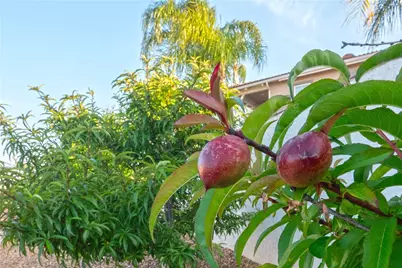 1253 Viento Court, Riverside, CA 92508 - Photo 43