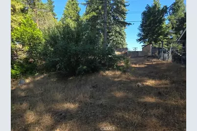 30778 Live Oak, Running Springs, CA 92382 - Photo 5