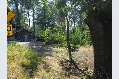 30778 Live Oak, Running Springs, CA 92382 - Photo 9