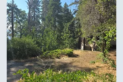 30778 Live Oak, Running Springs, CA 92382 - Photo 25