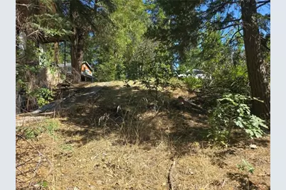30778 Live Oak, Running Springs, CA 92382 - Photo 23