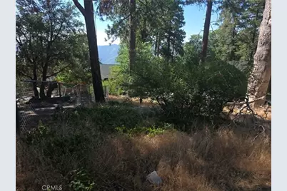 30778 Live Oak, Running Springs, CA 92382 - Photo 19
