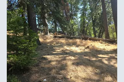 30778 Live Oak, Running Springs, CA 92382 - Photo 11