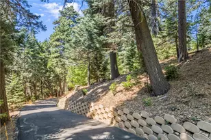 899 Blue Ridge Dr, Lake Arrowhead, CA 92385 - Photo 43
