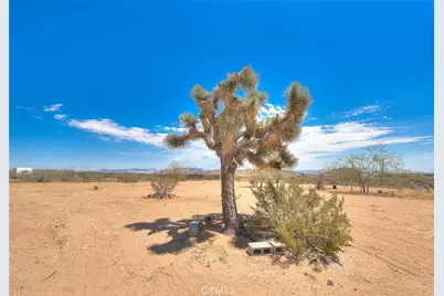 55525 Ornelas Lane, Landers, CA 92285 - Photo 35