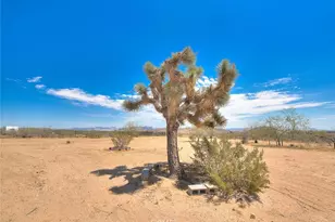 55525 Ornelas Ln, Landers, CA 92285 - Photo 35