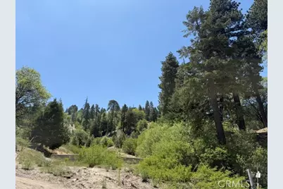 33285 Angeles, Green Valley Lake, CA 92341 - Photo 25