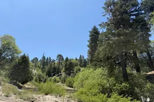 33285 Angeles, Green Valley Lake, CA 92341 - Photo 25