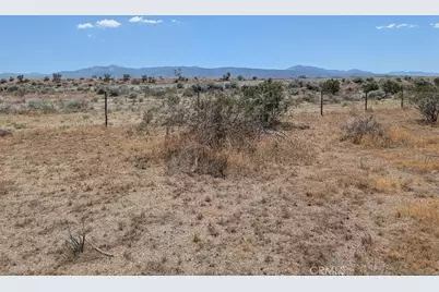 27 248th, Llano, CA 93544 - Photo 5
