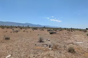 27 248th, Llano, CA 93544 - Photo 1