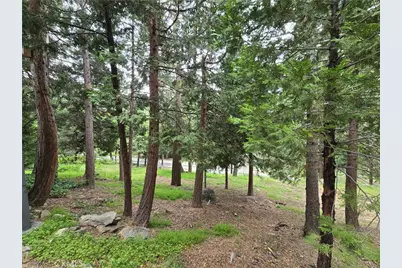 26058 Fire Hall Loop, Twin Peaks, CA 92391 - Photo 35