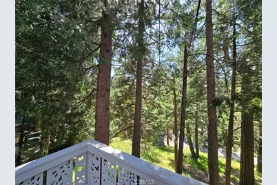 26058 Fire Hall Loop, Twin Peaks, CA 92391 - Photo 41