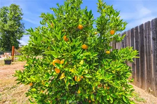 34863 Date, Yucaipa, CA 92399 - Photo 55