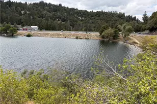 22198 Pine Dr, Crestline, CA 92322 - Photo 35