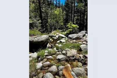 52915 Forest Route 4S02, Idyllwild, CA 92549 - Photo 25