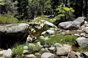 52915 Forest Route 4S02, Idyllwild, CA 92549 - Photo 25