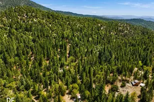52915 Forest Route 4S02, Idyllwild, CA 92549 - Photo 9