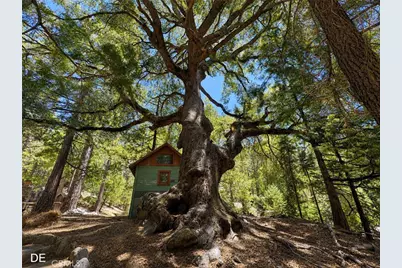 52915 Forest Route 4S02, Idyllwild, CA 92549 - Photo 23